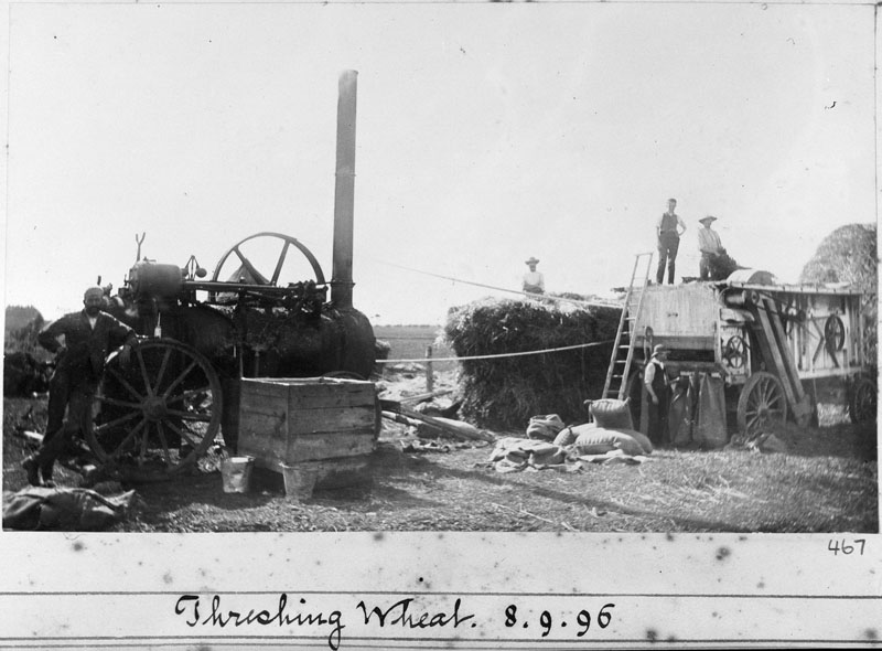  - threshing-wheat-00467